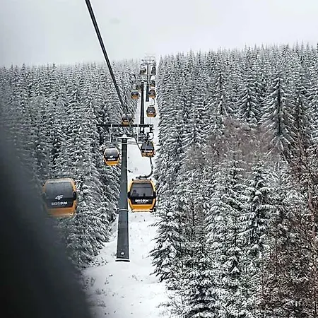 Ski&sun